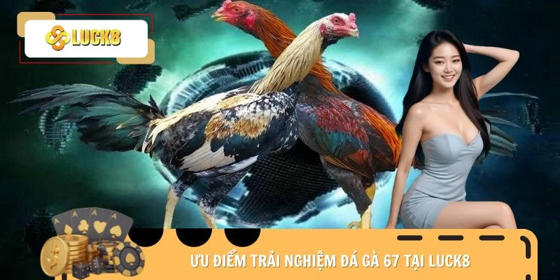 Ưu điểm trải nghiệm đá gà 67 tại Luck8